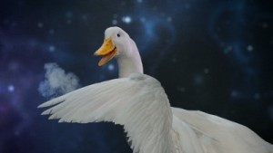 Aflec Duck Does Magic
